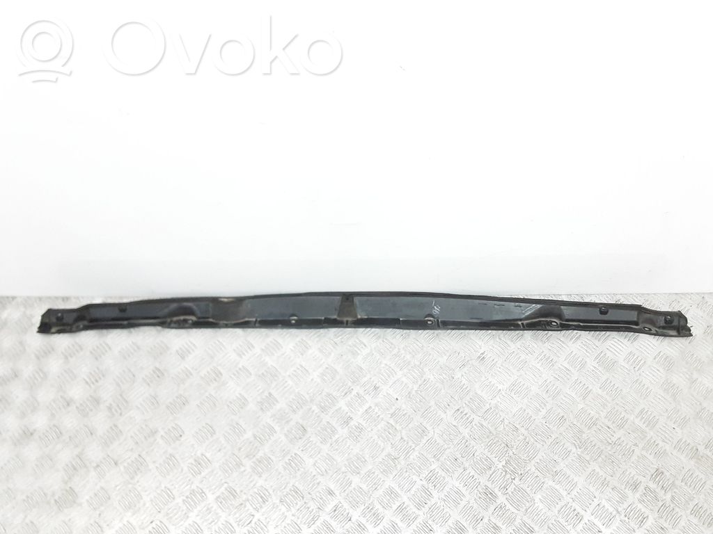 Chrysler Pacifica Wiper trim 