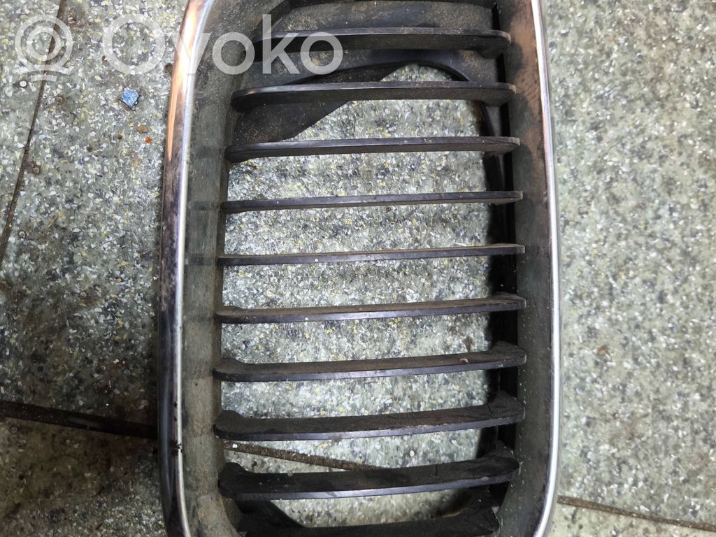 Kühlergrill   7030550