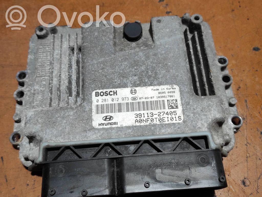 Engine control unit/module   0281012973,3911327405,1039S17861
