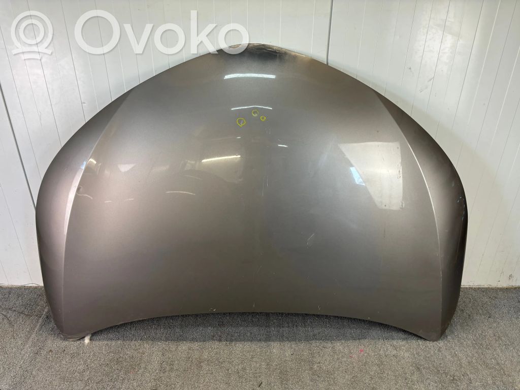 Engine bonnet/hood