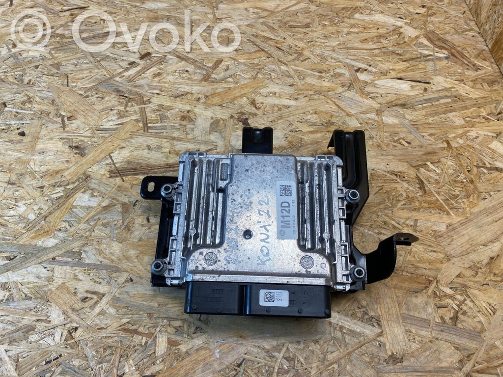 Hyundai Kona I Engine control unit/module 