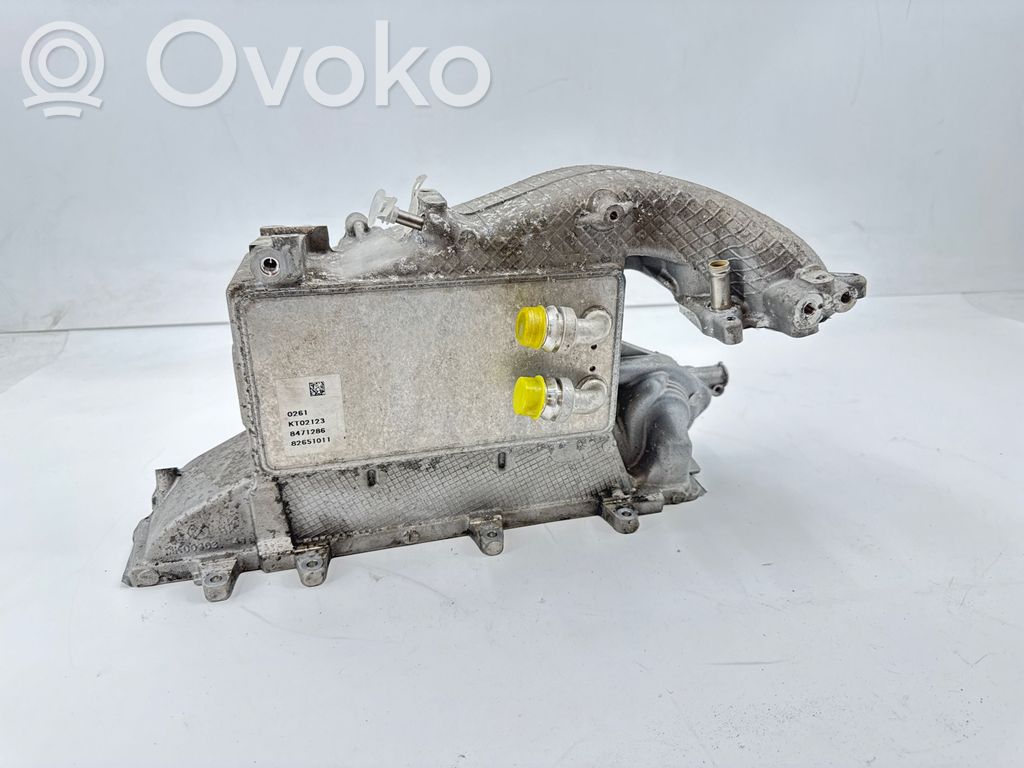 Volkswagen Golf VIII Kolektor ssący 