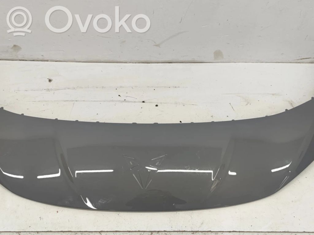 Front grill   10E806333,10E806333,K520523