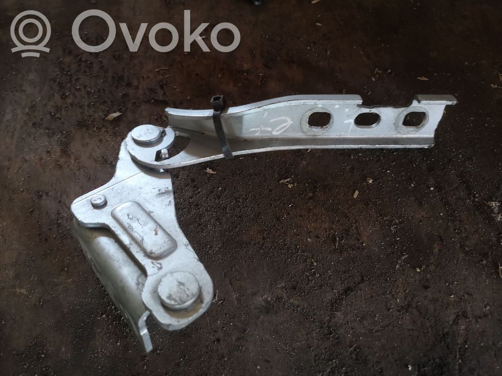 Seat Exeo (3R) Engine bonnet/hood hinges 