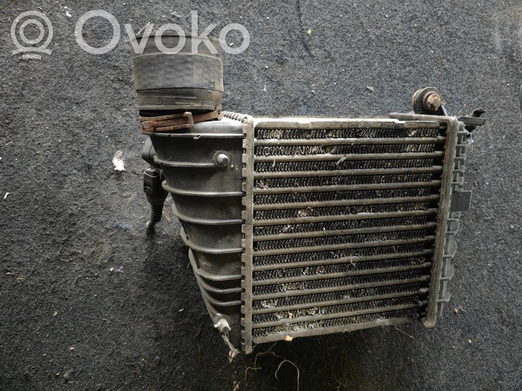 Volkswagen Bora Interkūlerio radiatorius 