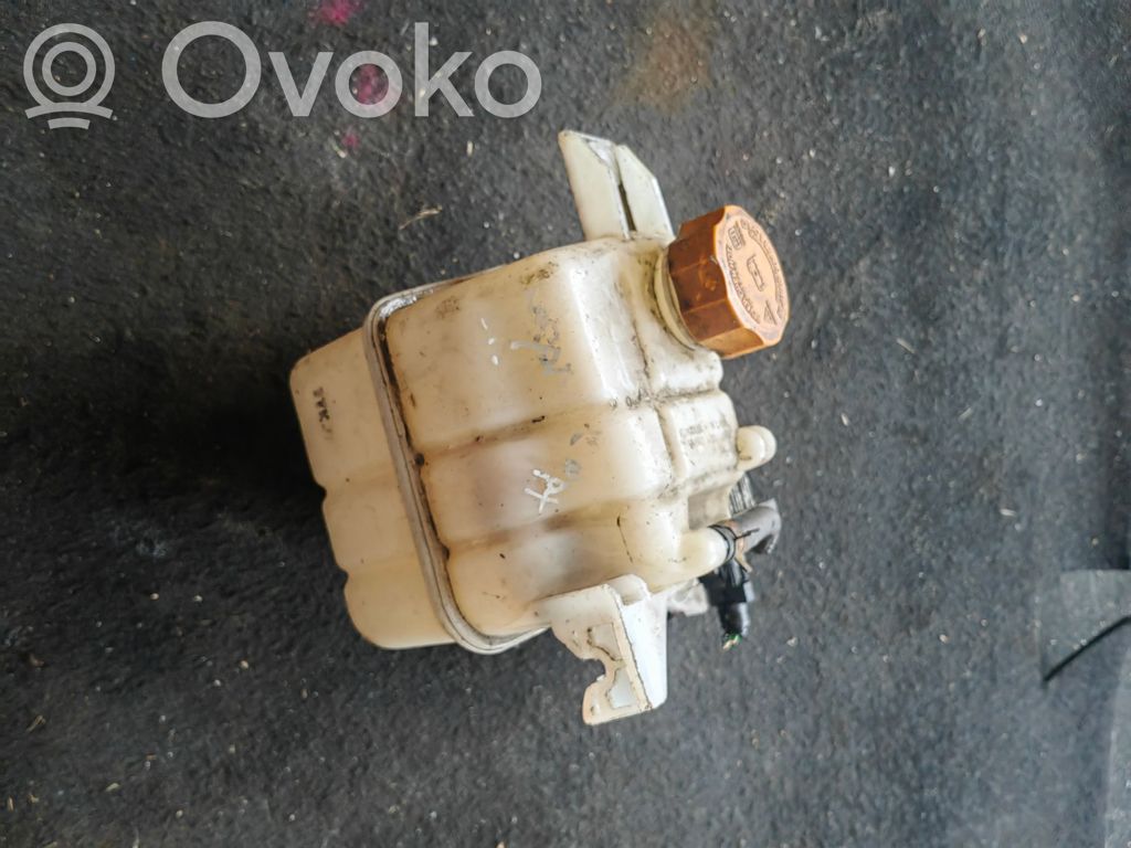 Chevrolet Captiva Aušinimo skysčio išsiplėtimo bakelis 