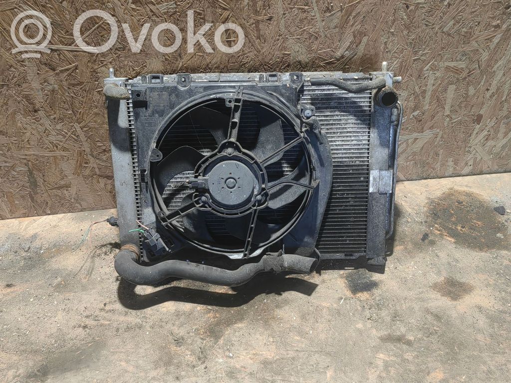 Renault Modus Set del radiatore 