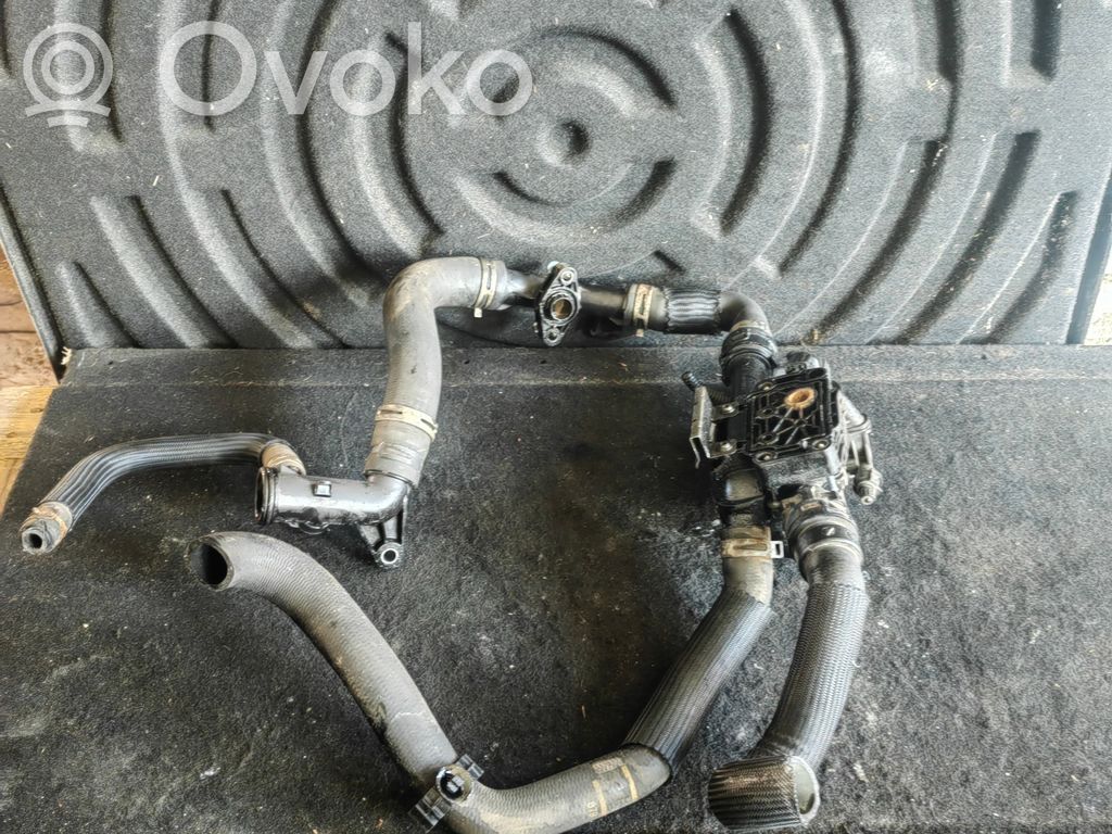 Citroen DS4 Thermostat/thermostat housing 