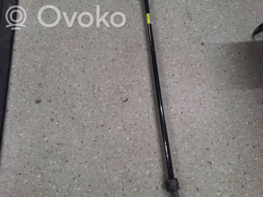 Dodge Challenger Bară antiruliu spate 