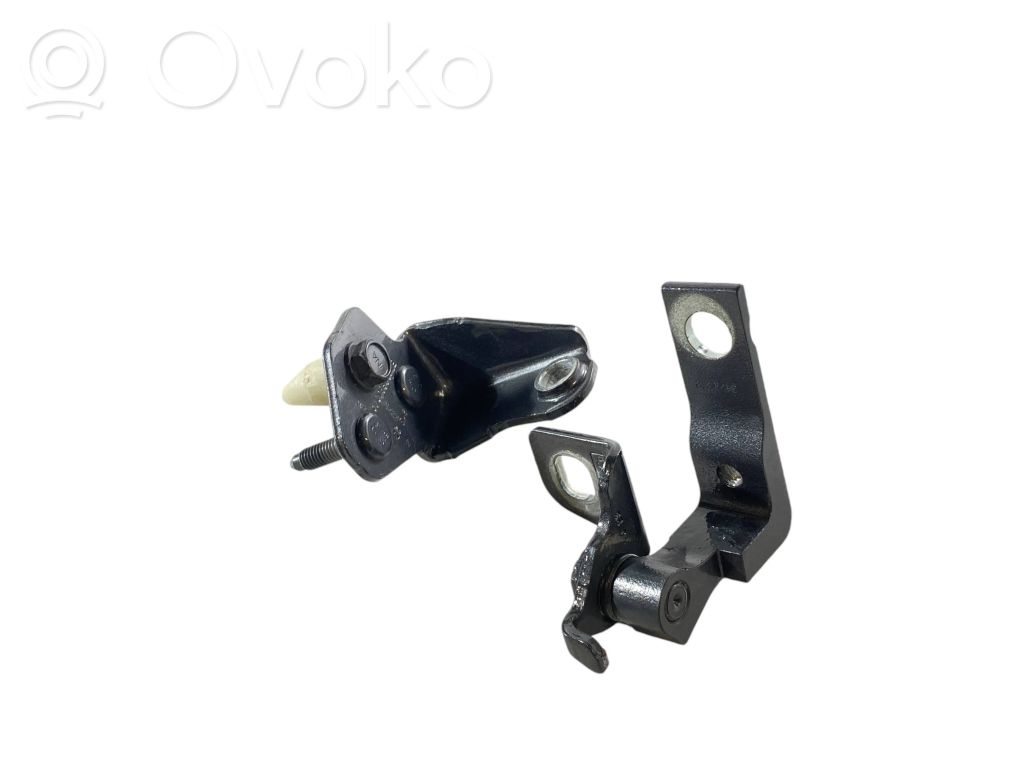 Ford Bronco Rear door hinge set 