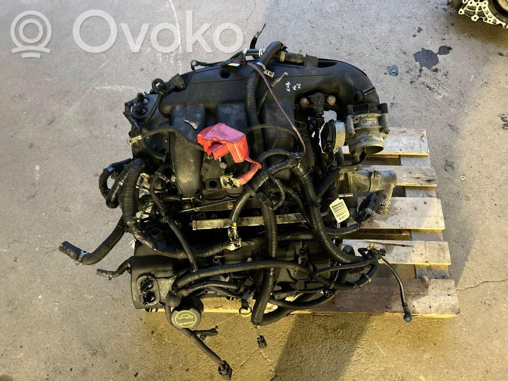 Ford Edge II Motor 