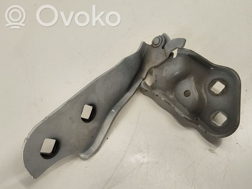 Tesla Model 3 Dzinēja pārsega eņģe (-es) 