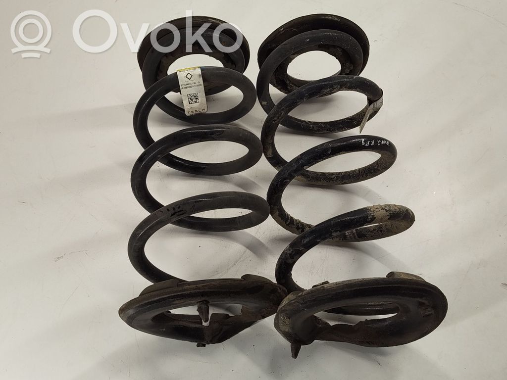 Tesla Model 3 Muelle espiral trasero 