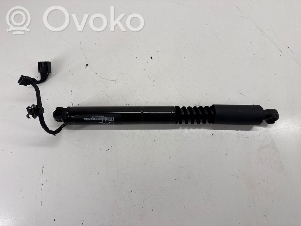 Tesla Model X Galinių durų pritraukėjas 