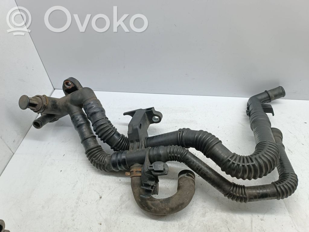 Ford Focus Przewód / Wąż chłodnicy 