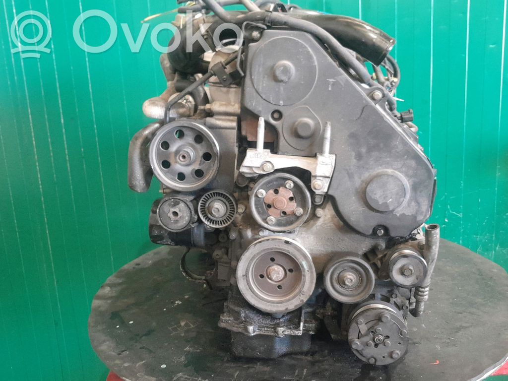 Motor
