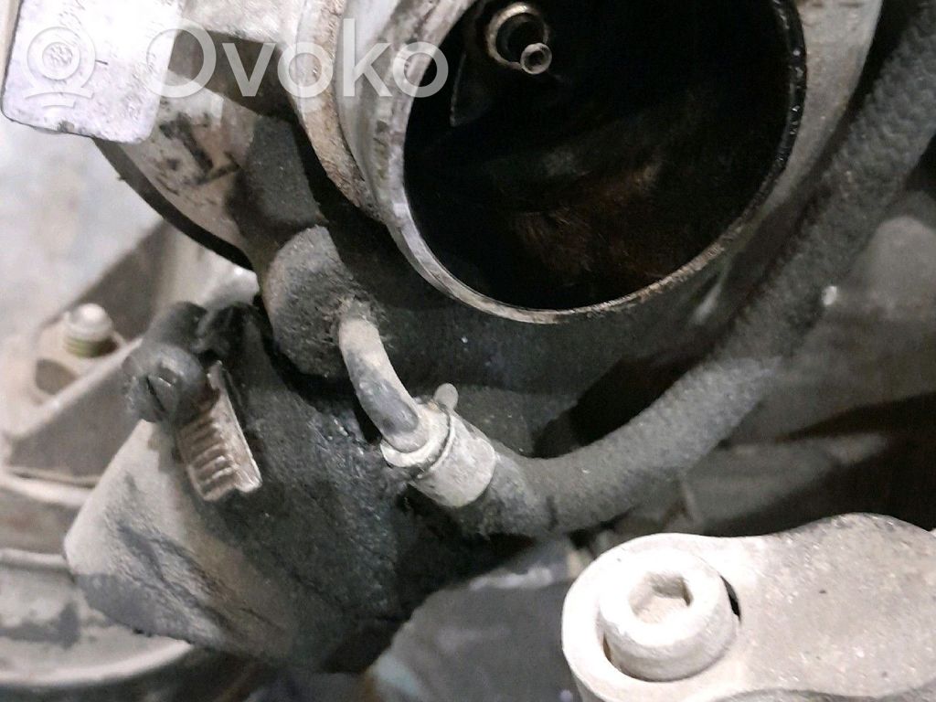 Alternador   12311247311