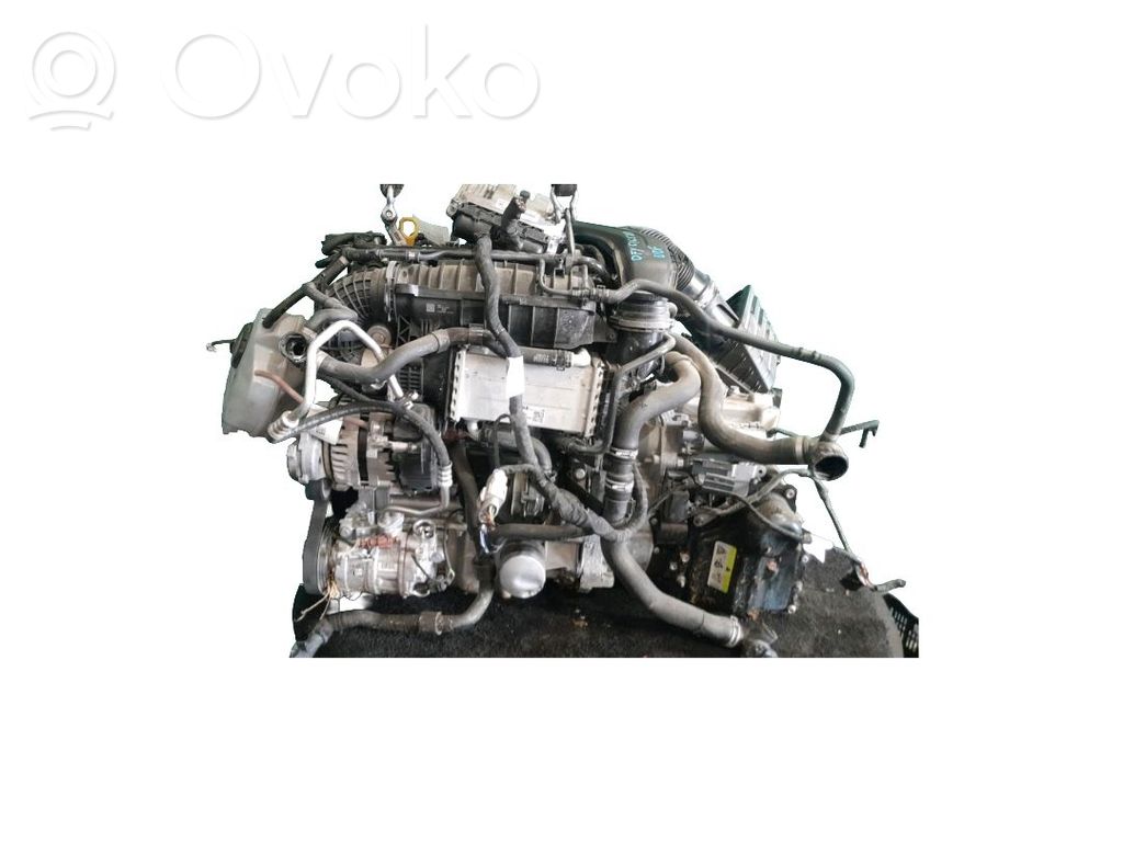 Motor