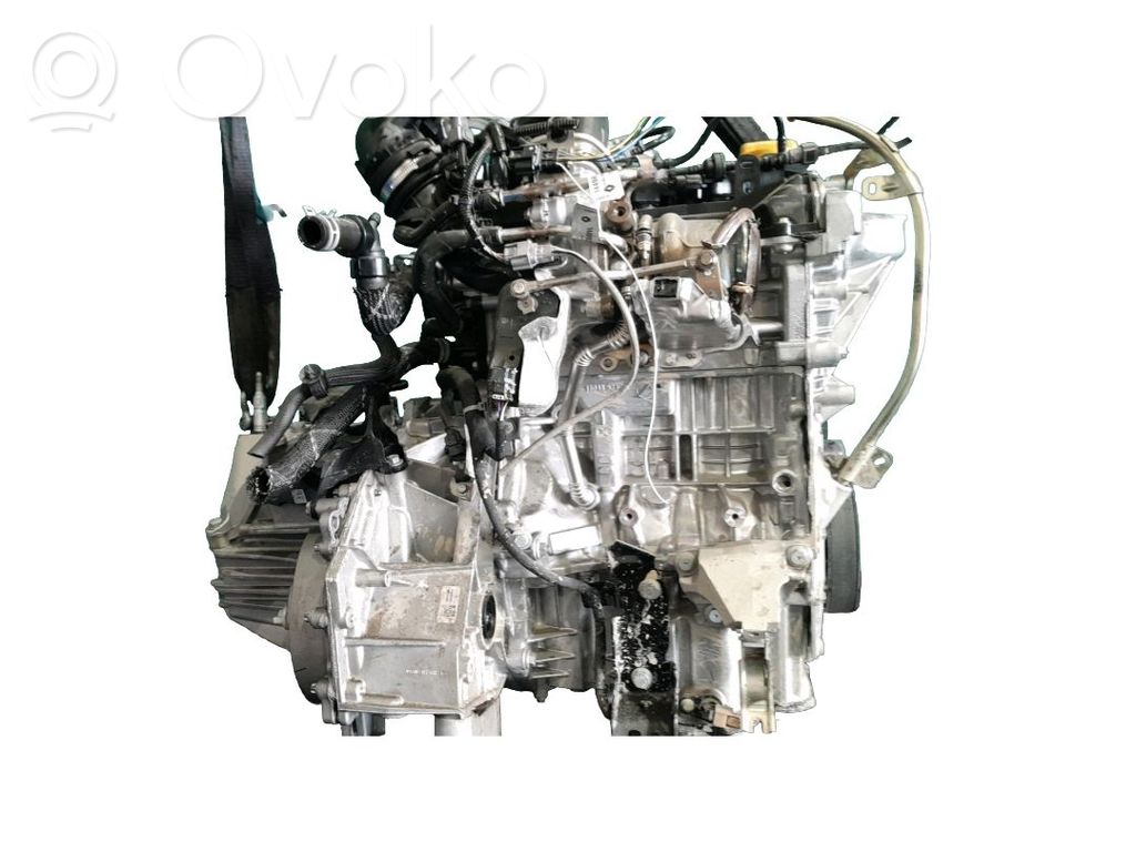 Motore