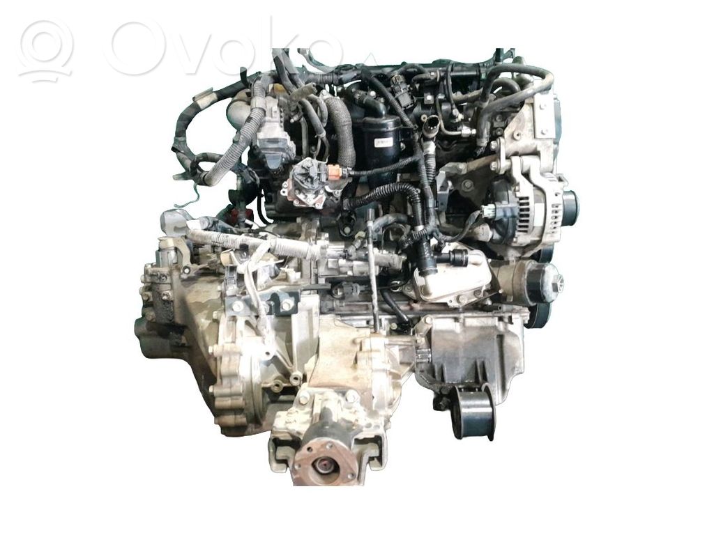 Motor
