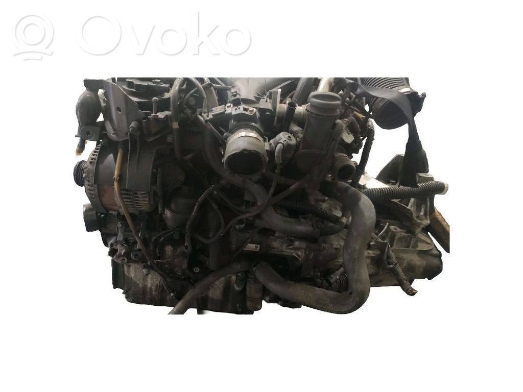 Motor