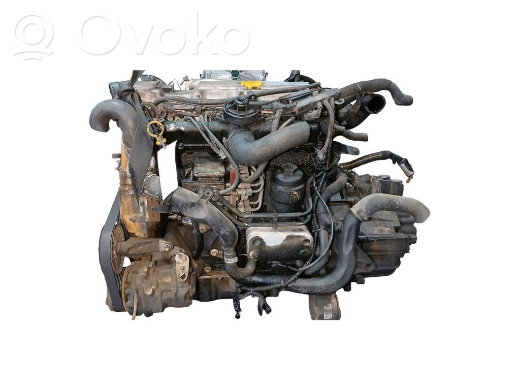 Motor