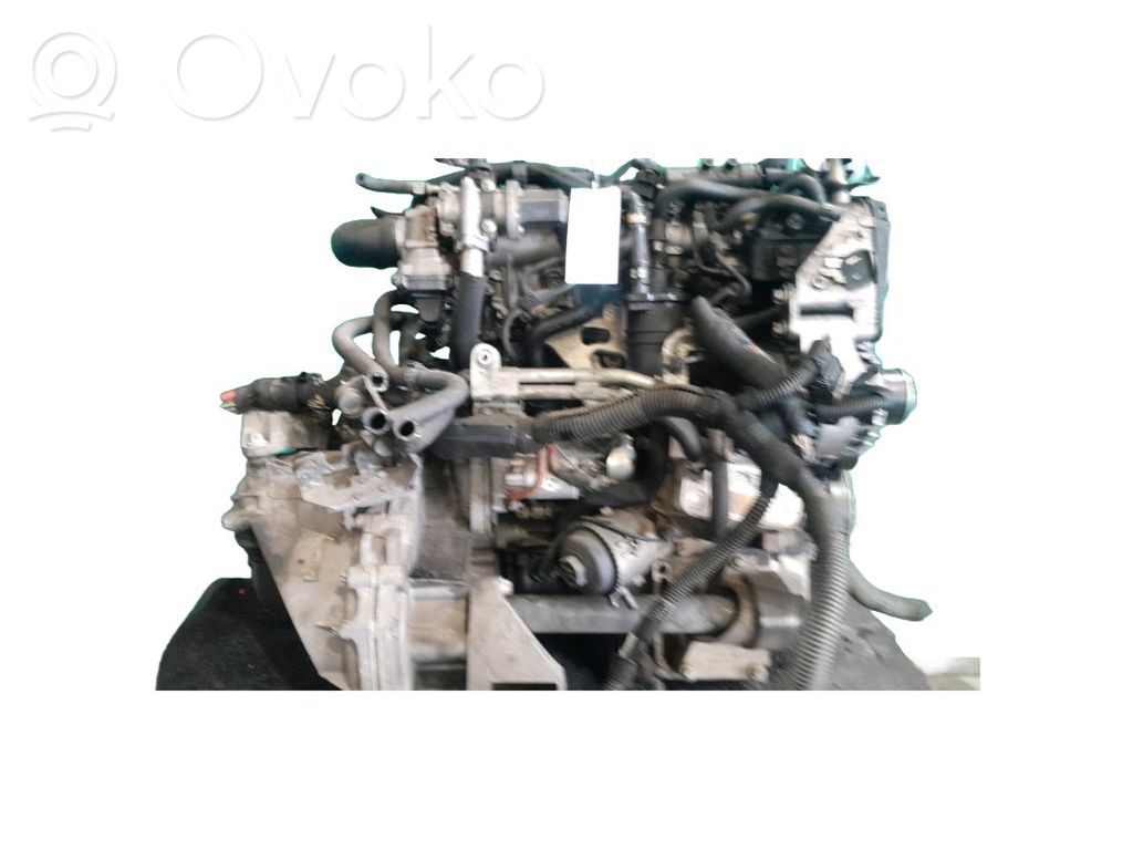 Motor