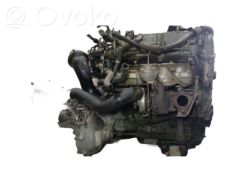 Honda Accord Motor 