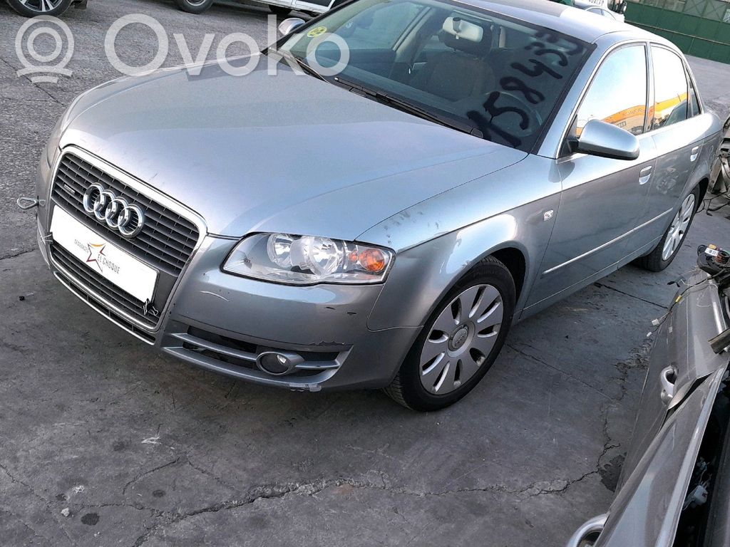 Audi A4 S4 B7 8E 8H Regulador de puerta delantera con motor