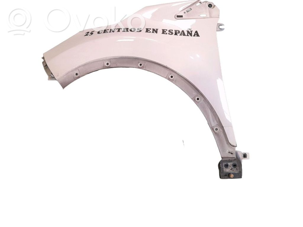 Guardabarro   631018073R
