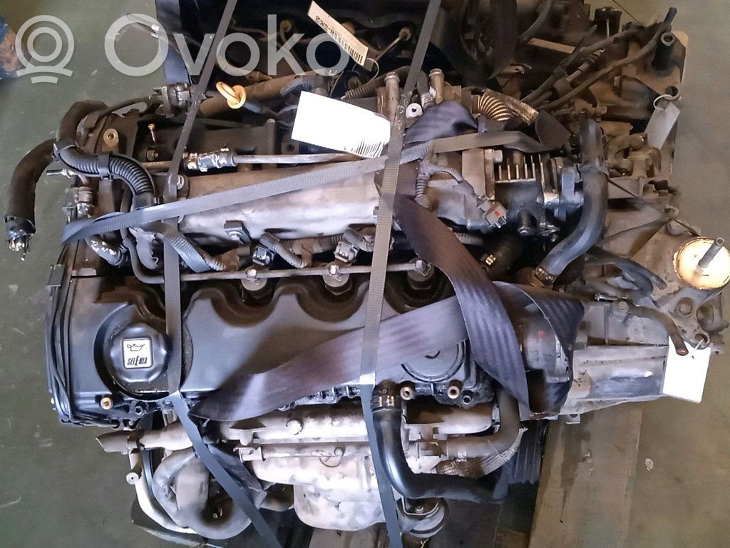 Fiat Stilo Motor