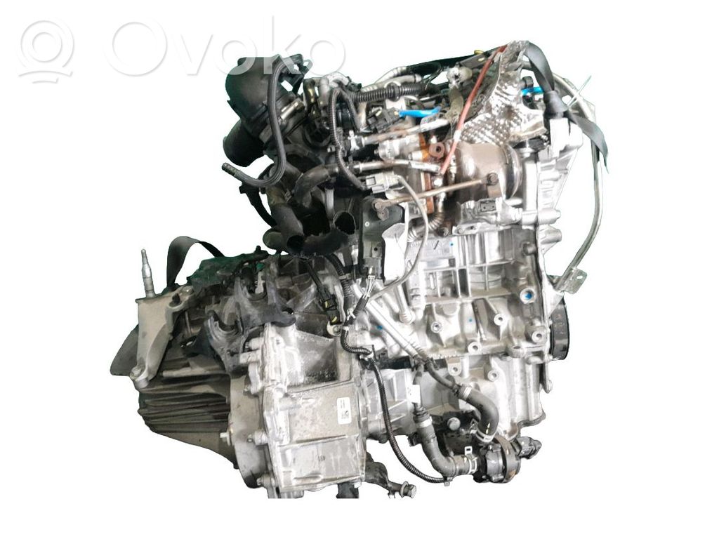 Alternador   231002175R