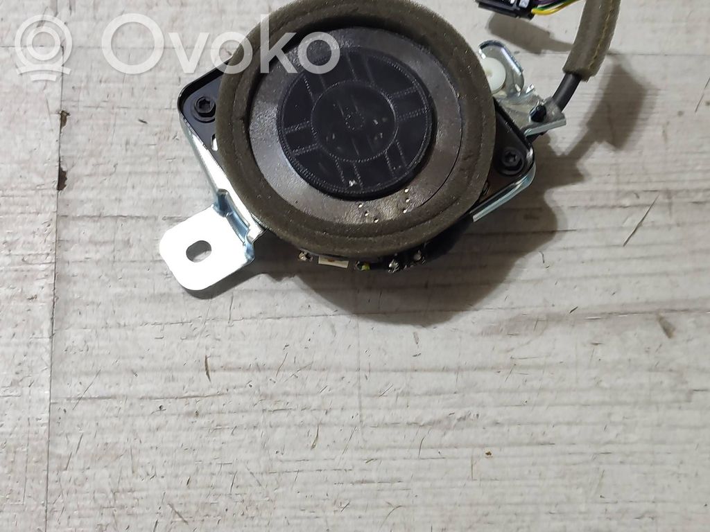 Subwoofer   8924005301A