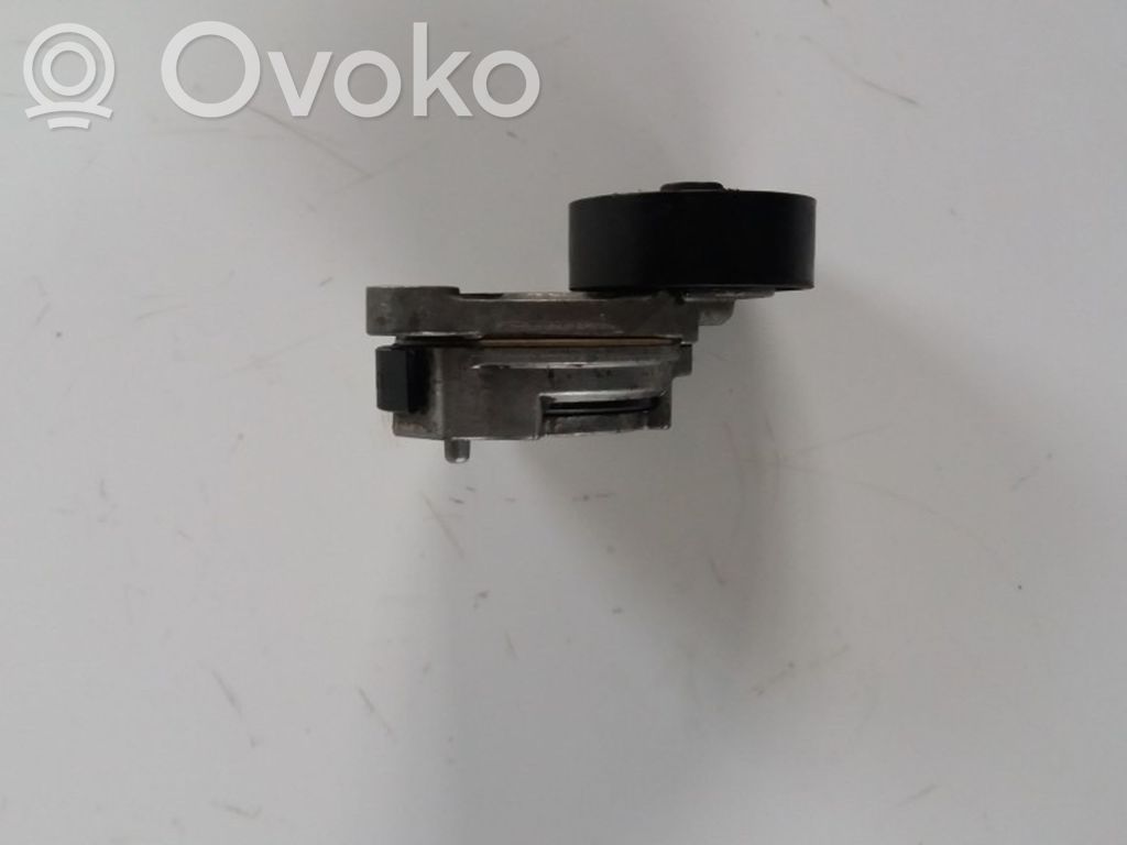 Napinacz paska alternatora   31330379,2441219
