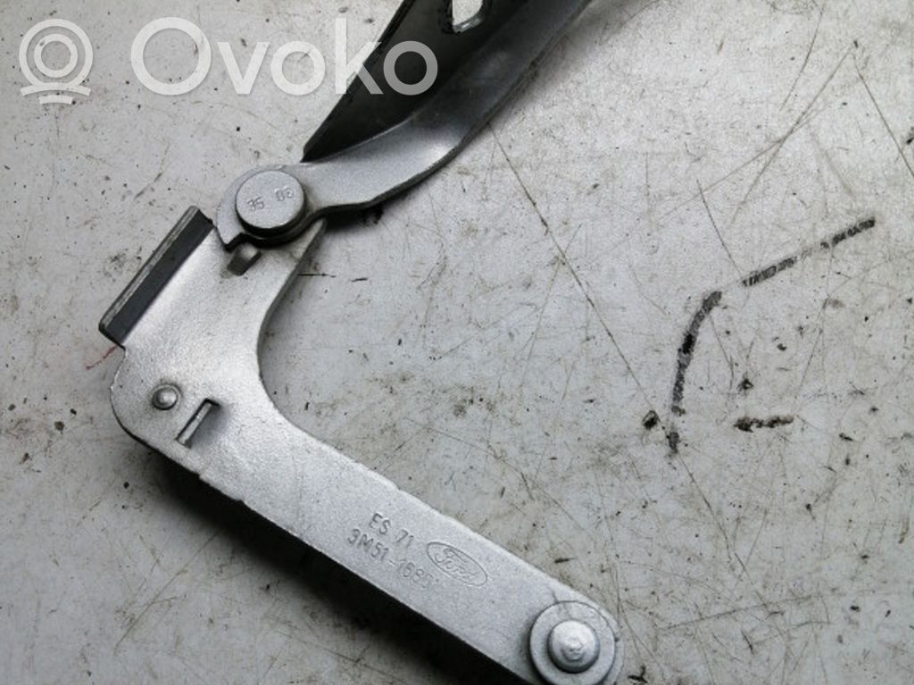 Ford C-MAX I Engine bonnet/hood hinges 