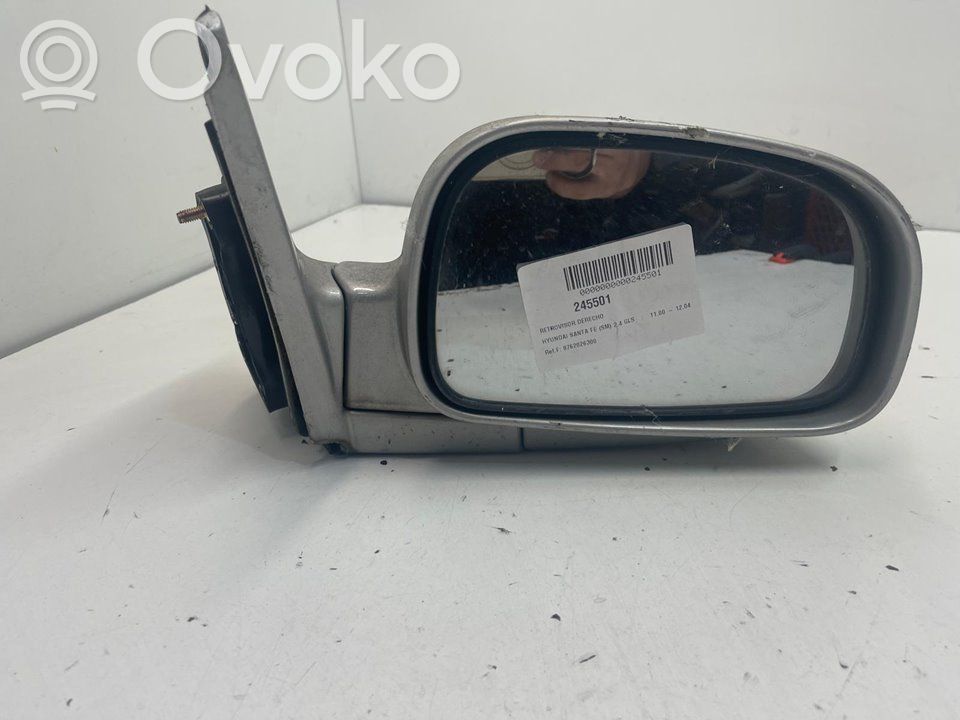 Hyundai Santa Fe Bucată laterală caroserie 