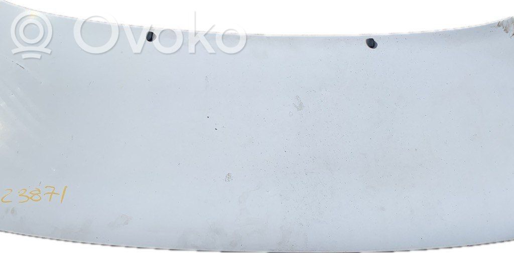 Engine bonnet/hood   509170