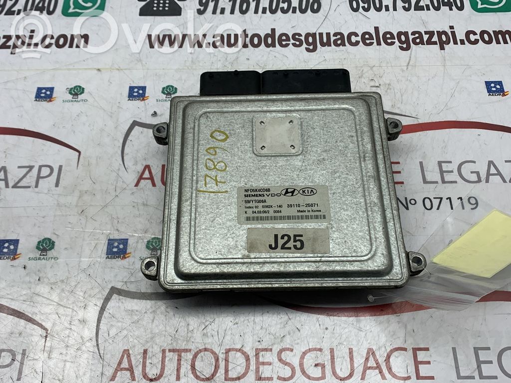 Hyundai Sonata Sterownik / Moduł ECU 