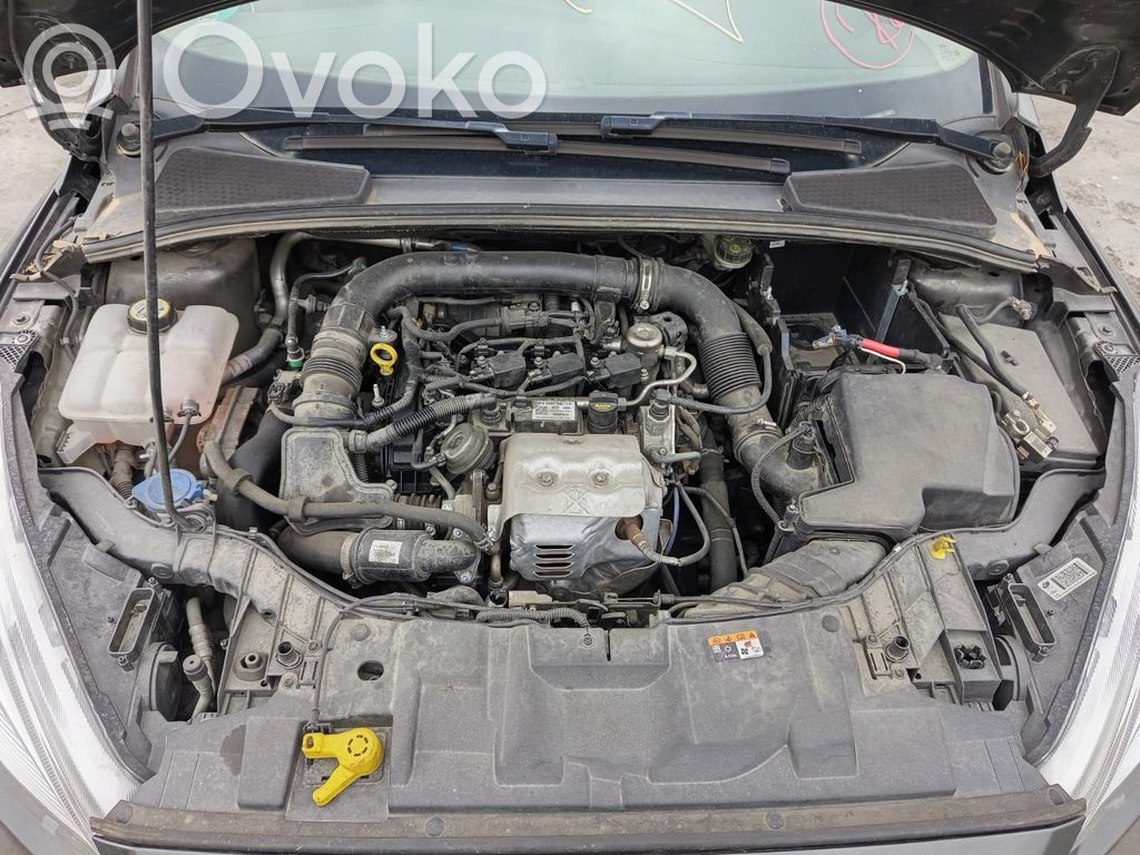 Ford Focus Wasserkühler 
