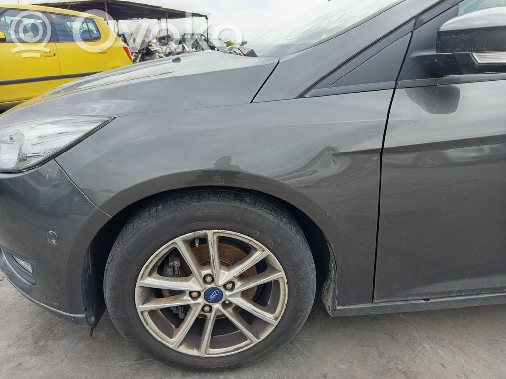 Ford Focus Kotflügel 