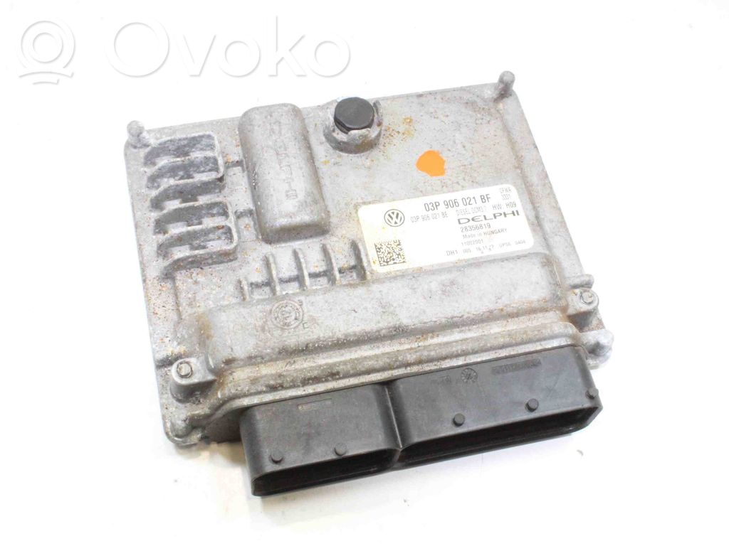 Seat Ibiza III (6L) Engine control unit/module 