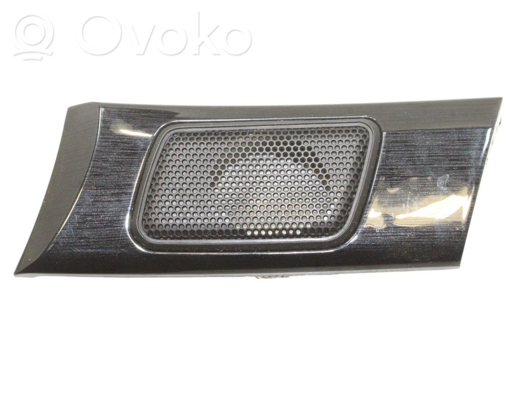 Cache enceinte centrale   20804210
