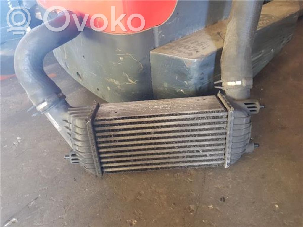 Peugeot Expert Starpdzesētāja radiators 