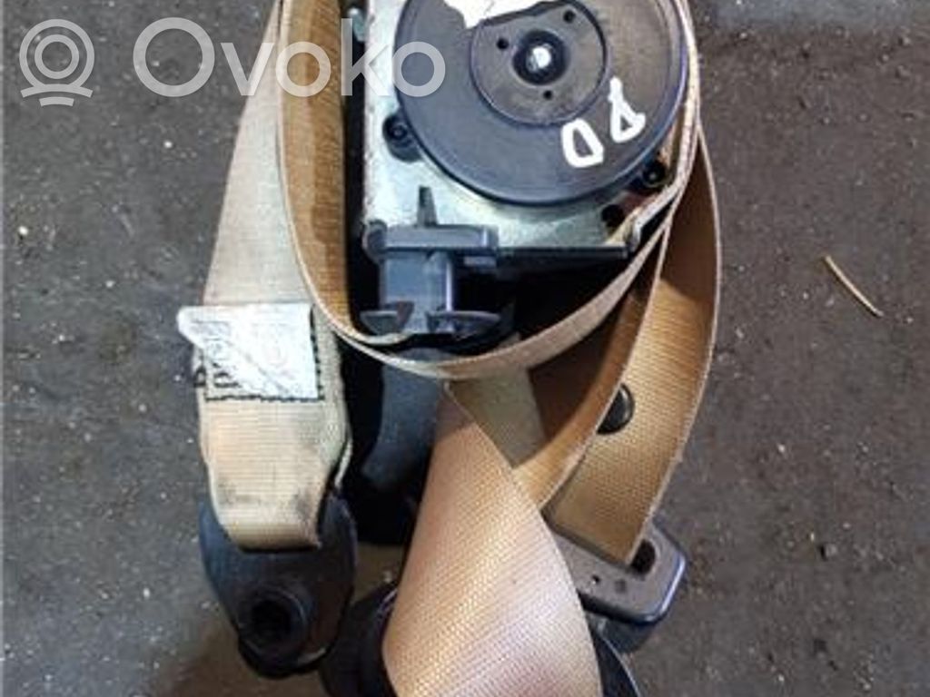 Cinturón delantero   72119138248