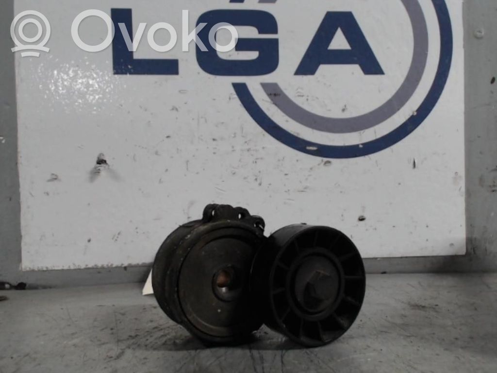 Peugeot 807 Generator/alternator belt tensioner 
