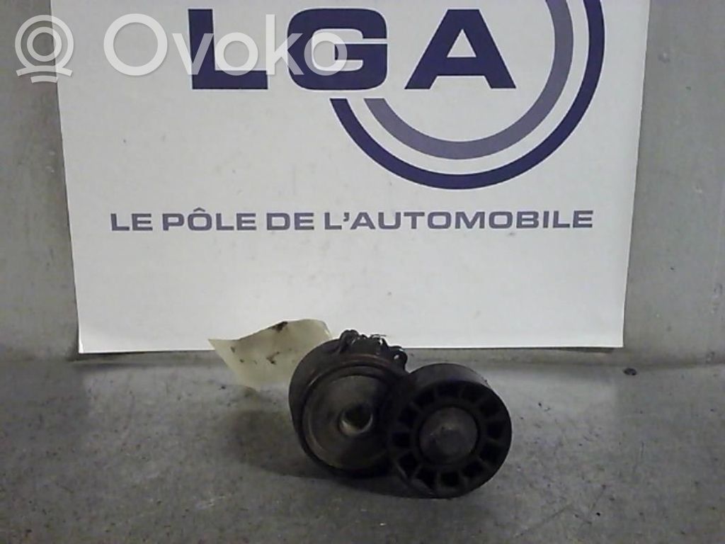 Peugeot 807 Generator/alternator belt tensioner 