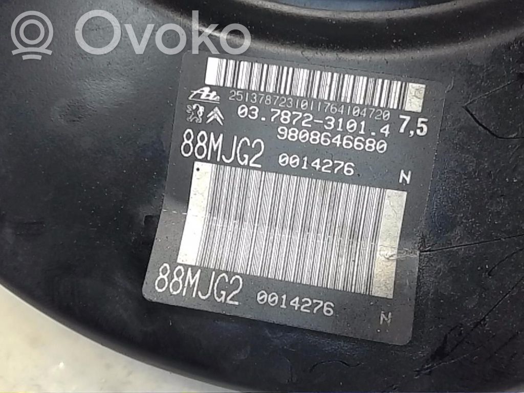 Peugeot Expert Stabdžių vakuumo pūslė 