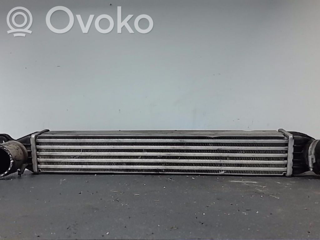 Mini One - Cooper R56 Interkūlerio radiatorius 