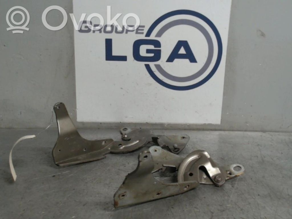 Renault Espace IV Engine bonnet/hood hinges 