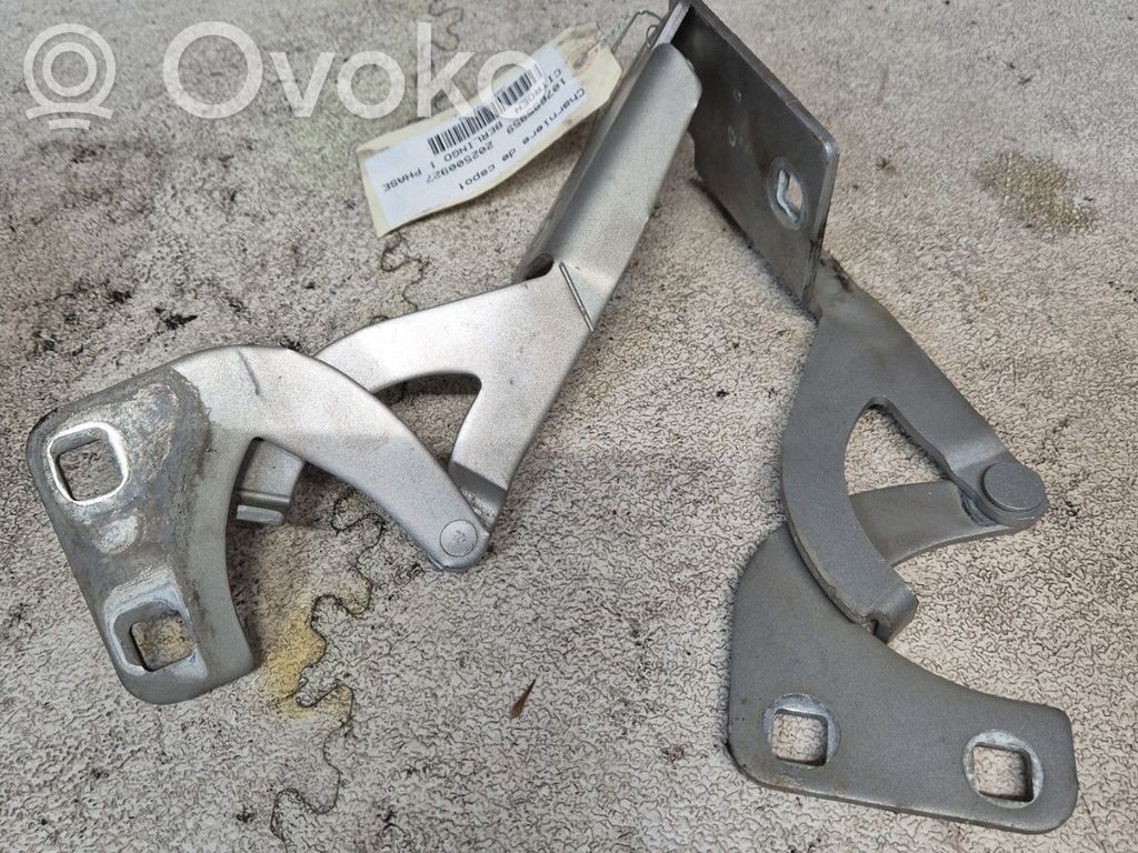 Citroen Berlingo Balamale capotă 